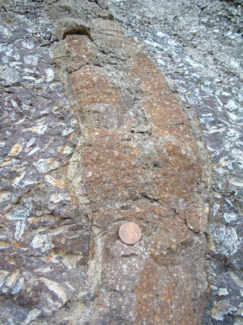 Dikes And Sills. Dike, magma within a magma within a dyke intrusions 