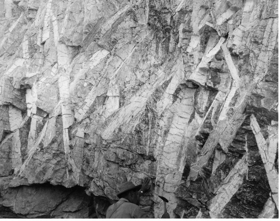 Spodumene laths at the Harding mine near Dixon, New Mexico, ca 1950
