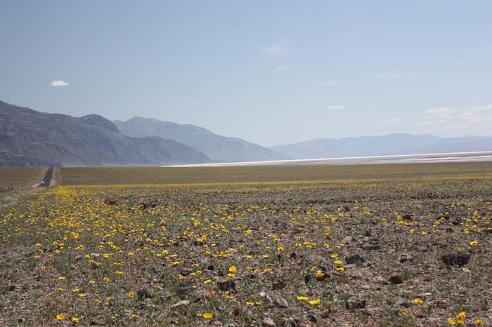 Badwater 01
