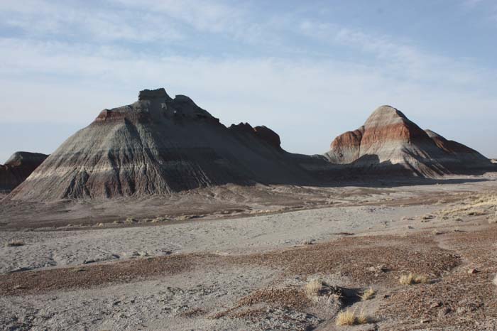 Petrified Forest 04