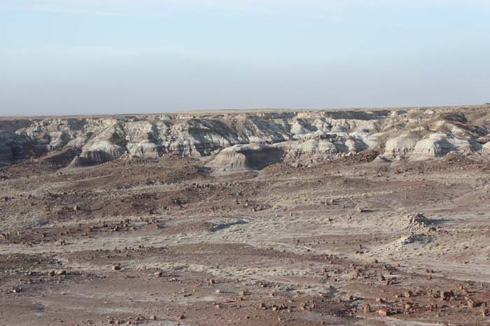 Petrified Forest 06