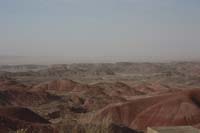 Petrified Forest 01
