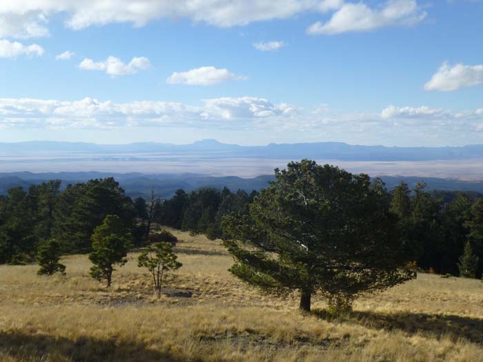 View west from Mt Withington across Plains of San Agustin