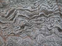 Stromatolitic