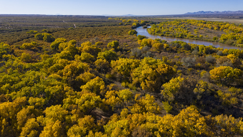 Rio Grande near Bosque del Apache