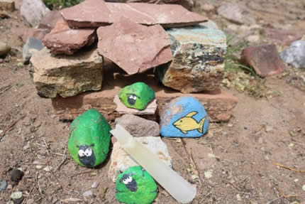 pet rocks