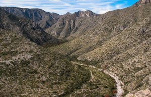 McKittrick Canyon, Guadalupe Mountains