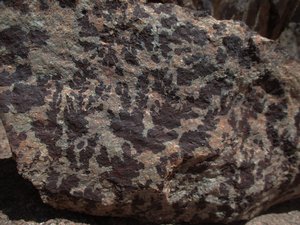photographHematite dendrites on a granitic boulder in the Quebradas