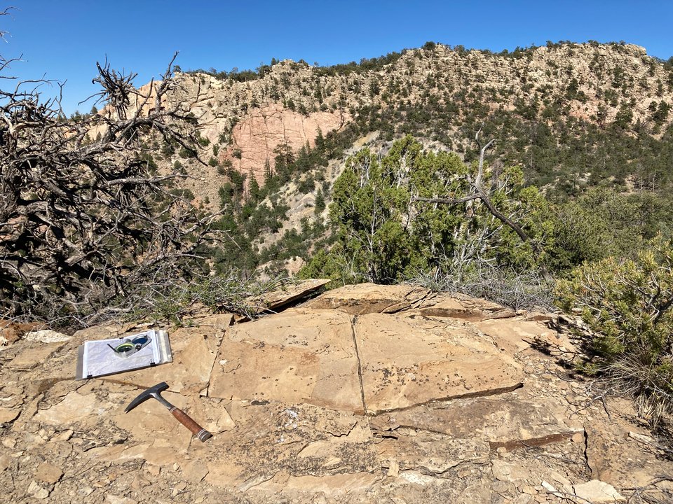 Tools of the Trade, Gallup area, June