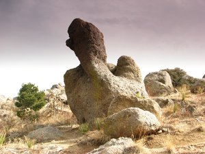 photograph: Granite boulder, Sandia Mtns