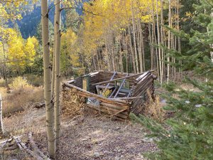 Photograph of a derelict cabin amongst yellow leafed aspens near South Baldy Peak.