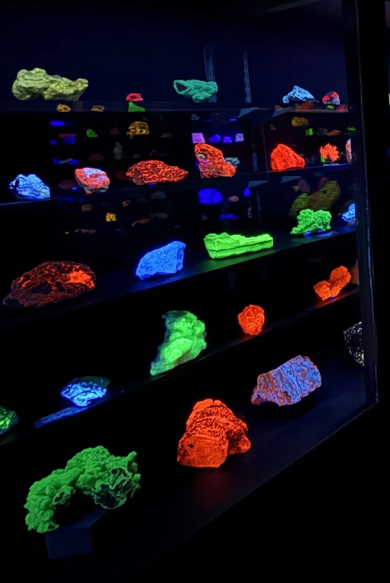 Illuminated fluorescent mineral display