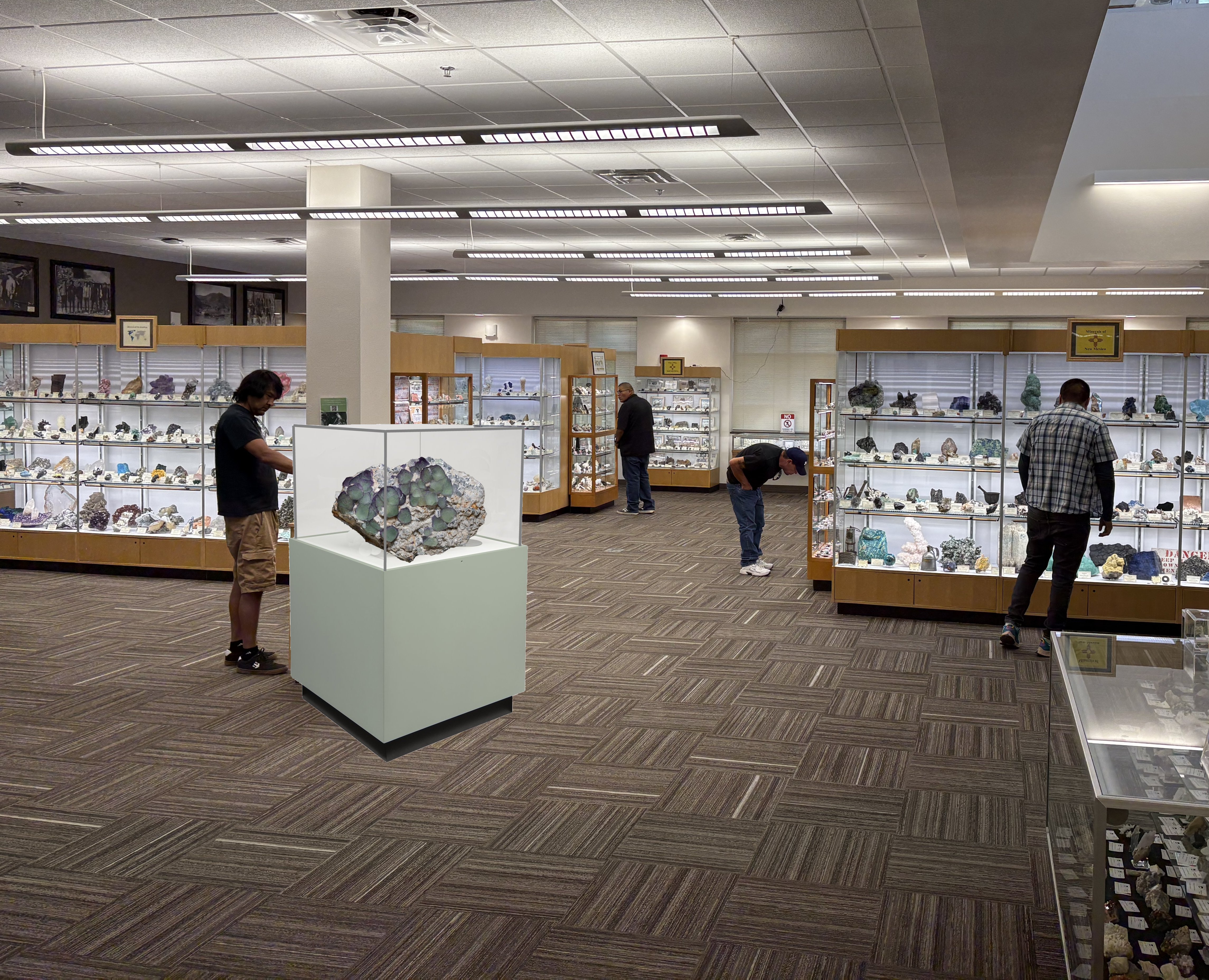 Approximate design of the new display cases