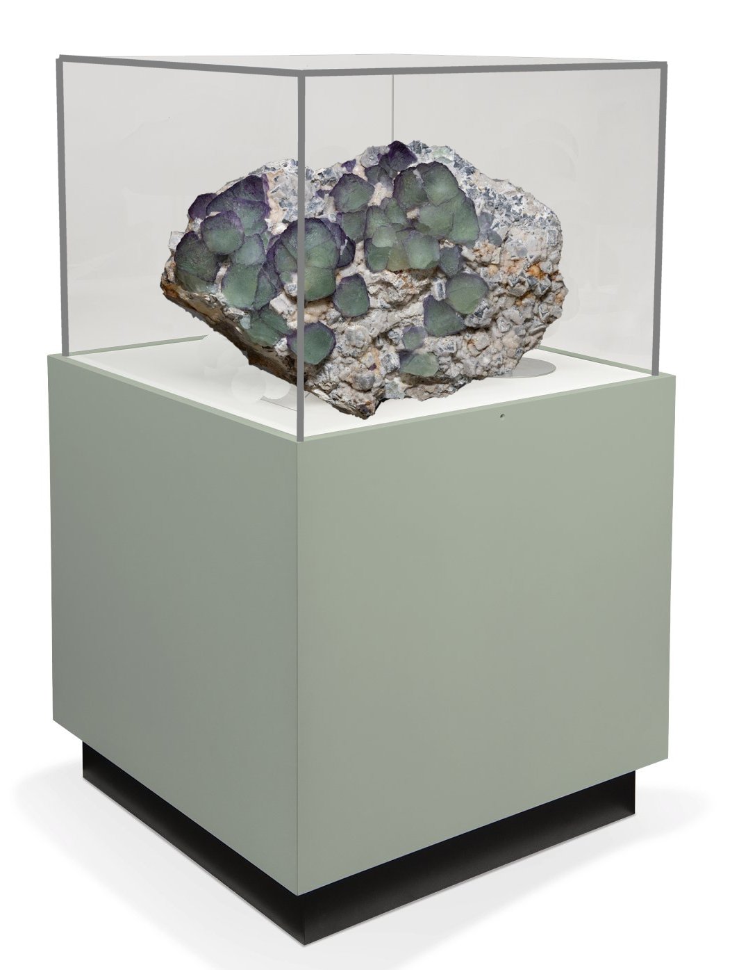 Approximate design of the new display cases