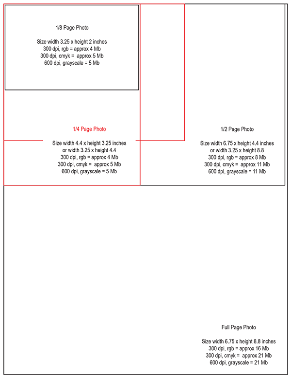 image sizes