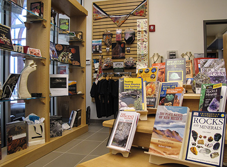 Bookstore interior 1