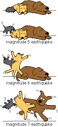 dog magnitude scale