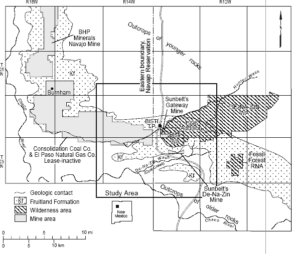 bisti study area