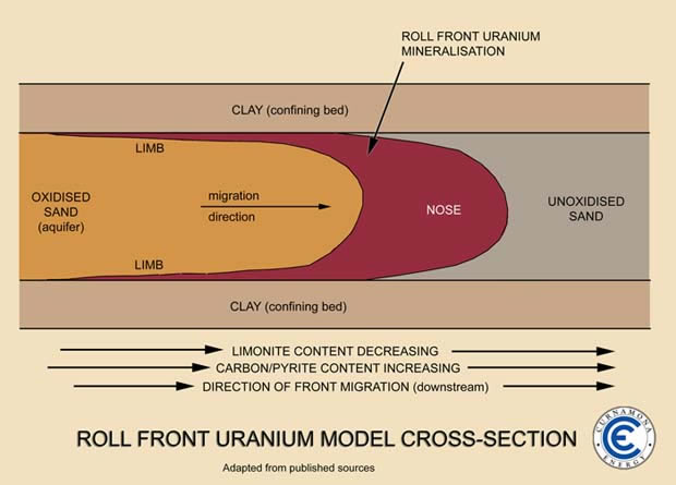 Roll-front Uranium