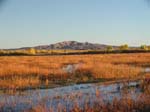 Little San Pasqual Mtns 01