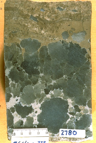 nodular anhydrite