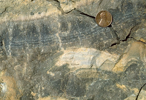 Close-up of sheet spar (aragonite cement) crust from within a tepee structure.