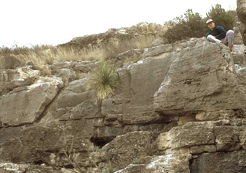 Low angle, seaward-dipping cross-beds in the upper Tansill Formation.