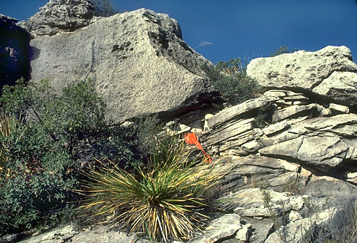 Small channel in Capitan fore-reef talus