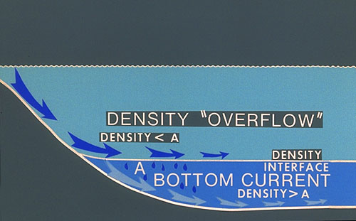 model of density "overflow" sedimentation