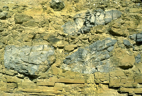 Large blocks of carbonate slope material in a debris flow (the Rader slide) within sandstones of the Bell Canyon Formation. 