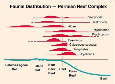 major faunal group distribution