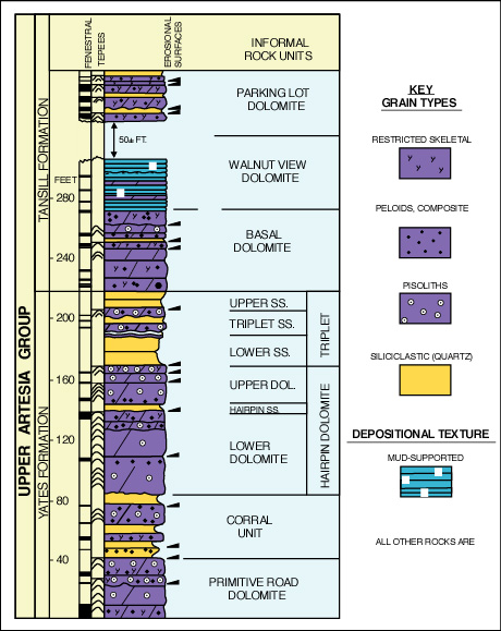 Stratigraphic section