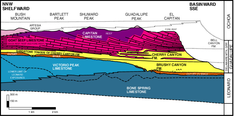 Diagrammatic section of the west face (southwestern end) of the Guadalupe Mountains, Texas.