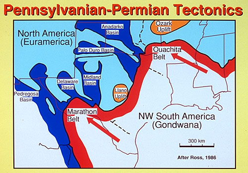 Pennsylanian- Permian paelo tectonic setting