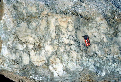 Massive nodular gypsum in the Seven Rivers Formation.