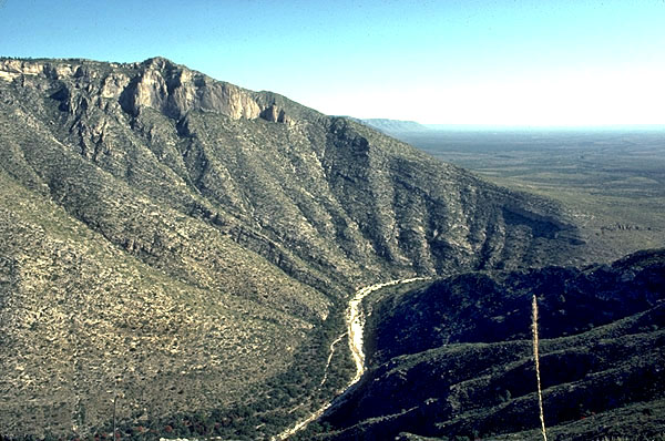 View northward to north wall of McKittrick Canyon