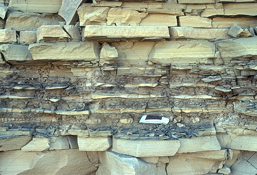 Laminated sandstones and starved ripples in Cherry Canyon Formation.