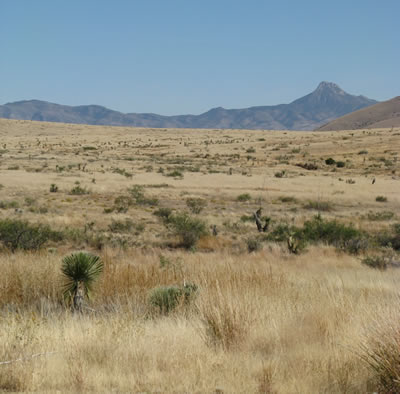 photo of Cookes Range