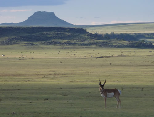 high plains