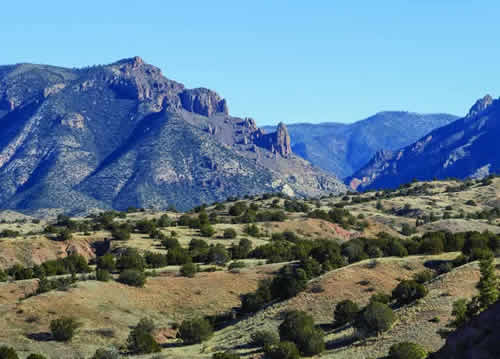 Gila massif